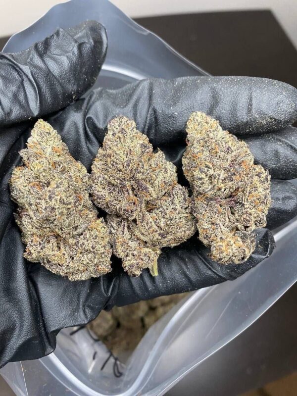 Cannabis – Bild 3