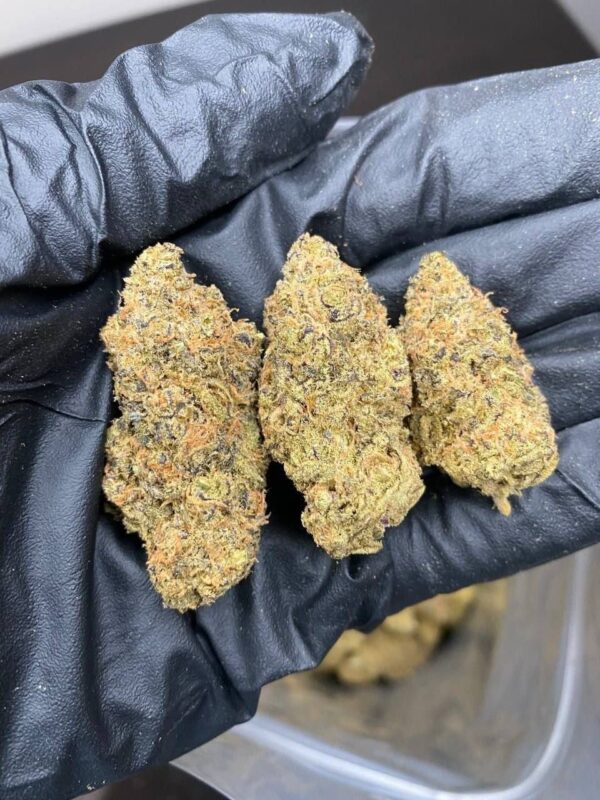 Cannabis – Bild 4