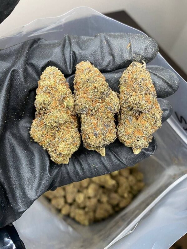 Cannabis – Bild 5